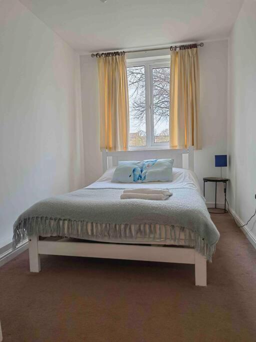 3 Bedroom Flat 10 Mins Walk To Bay And City Center Free Parking Cardiff Buitenkant foto